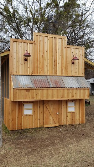 Lee+Parkinson+-+20200102_143213 Wooden chicken coop with a rustic design, featuring a sloped metal roof, two small windows, and a front door, set in a grassy area surrounded by trees. Ideal for backyard poultry farming.