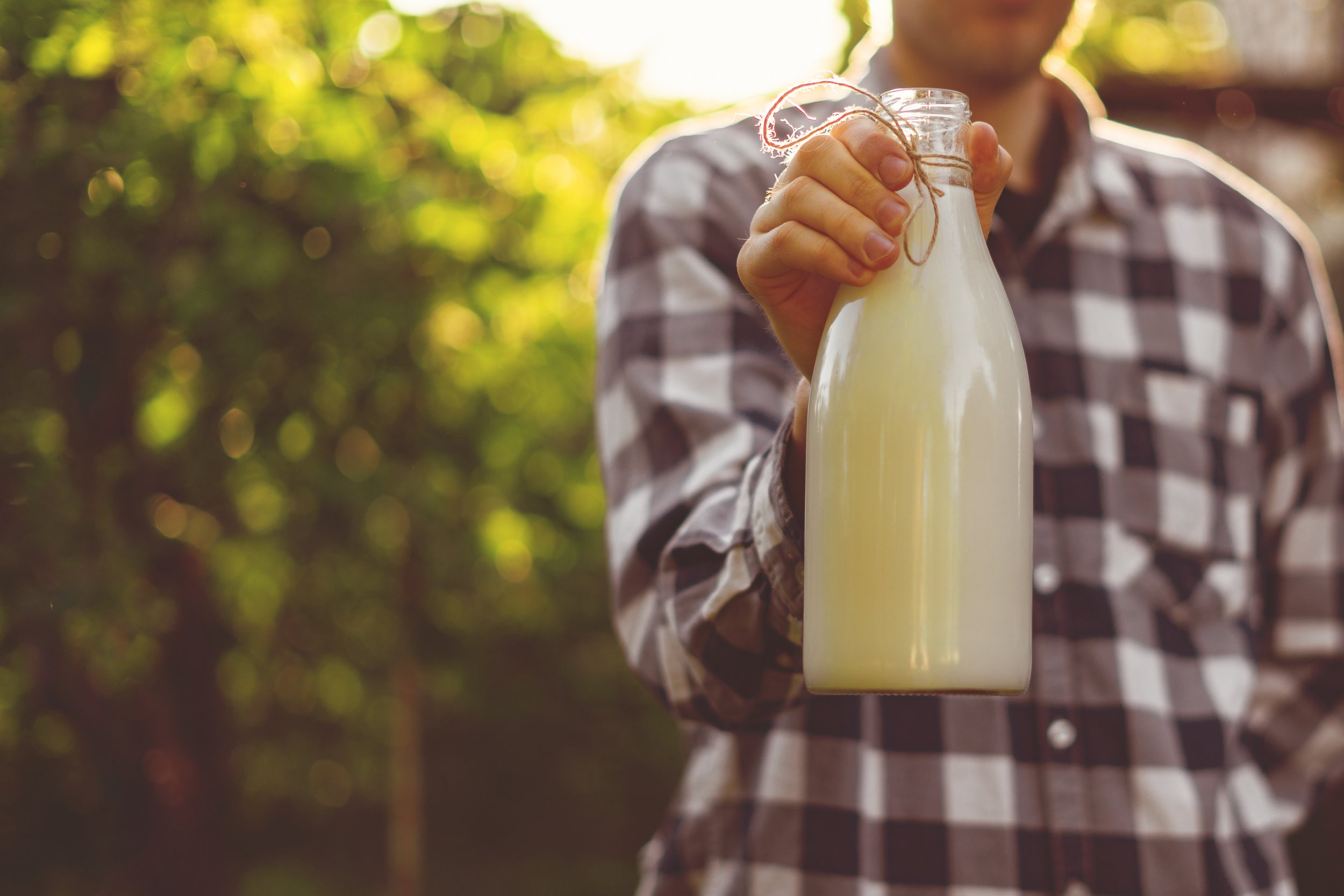 Person holding a glass milk bottle in a natural setting, surrounded by greenery, wearing a plaid shirt. The image captures the essence of fresh, organic dairy products.